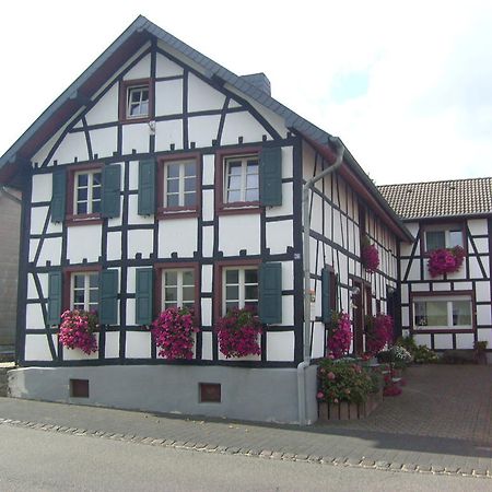 Ferienwohnung Duerbaum Schleiden Ngoại thất bức ảnh