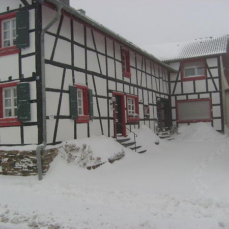 Ferienwohnung Duerbaum Schleiden Ngoại thất bức ảnh