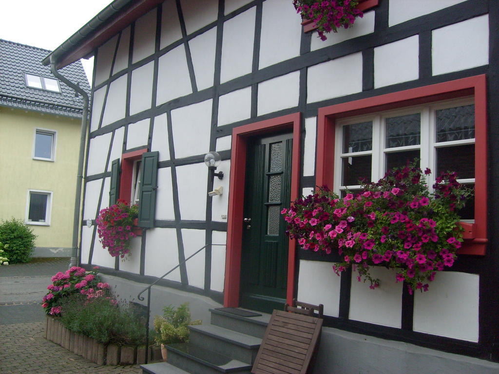 Ferienwohnung Duerbaum Schleiden Phòng bức ảnh