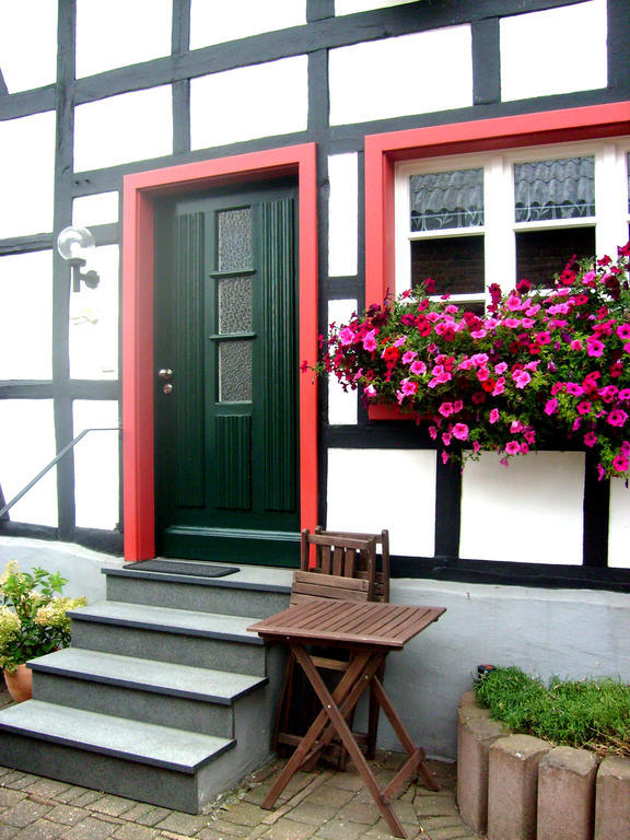 Ferienwohnung Duerbaum Schleiden Ngoại thất bức ảnh