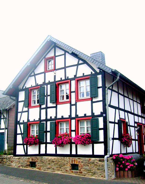 Ferienwohnung Duerbaum Schleiden Phòng bức ảnh