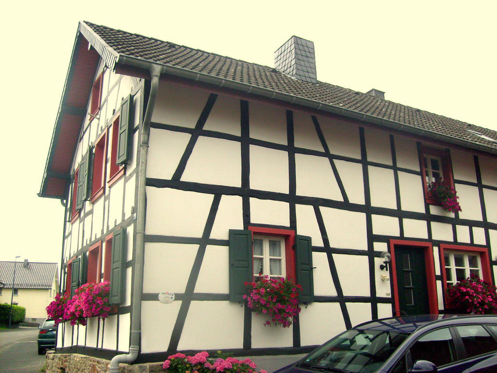 Ferienwohnung Duerbaum Schleiden Phòng bức ảnh